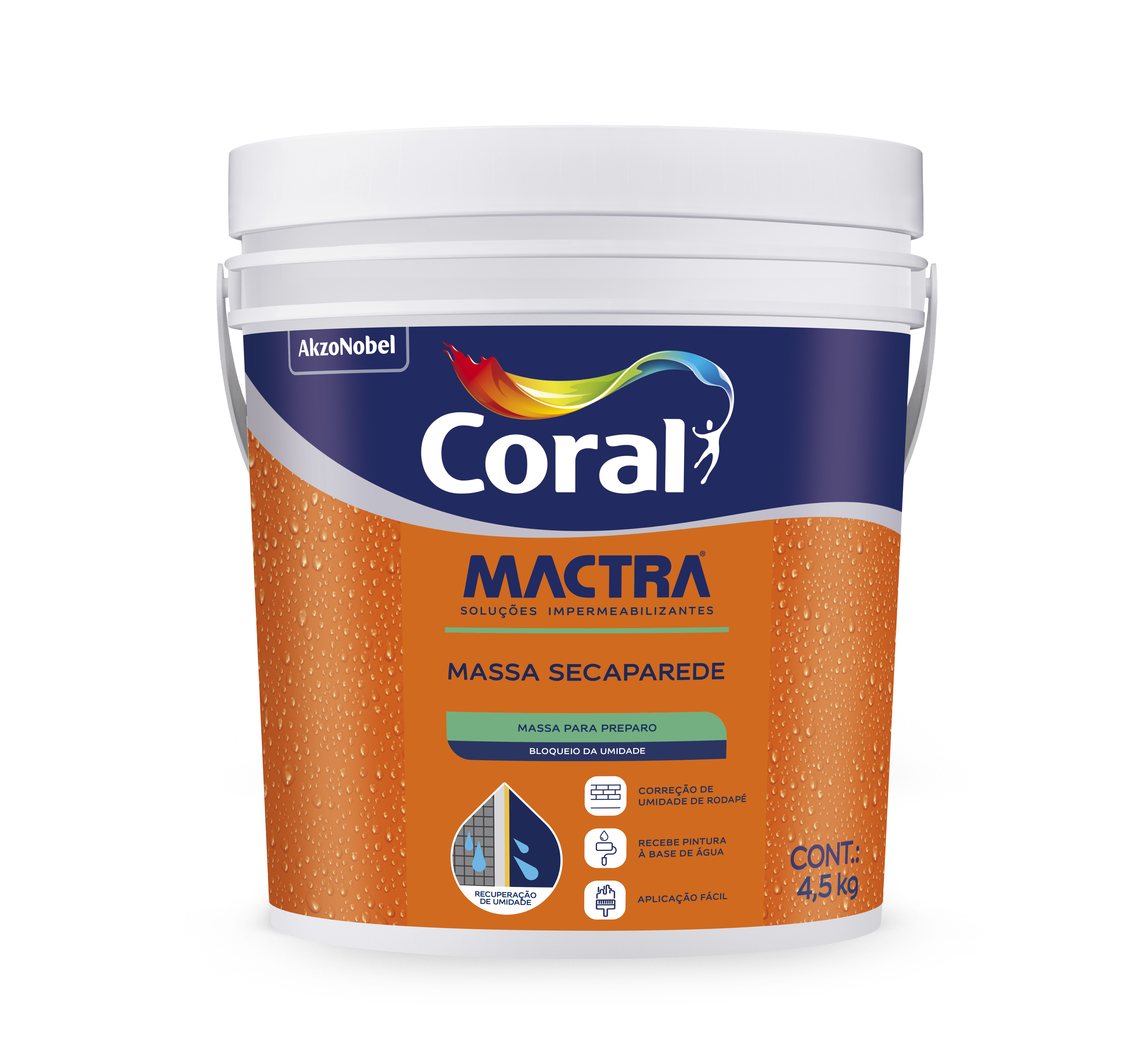 CORAL MACTRA  - MASSA SECA PAREDE